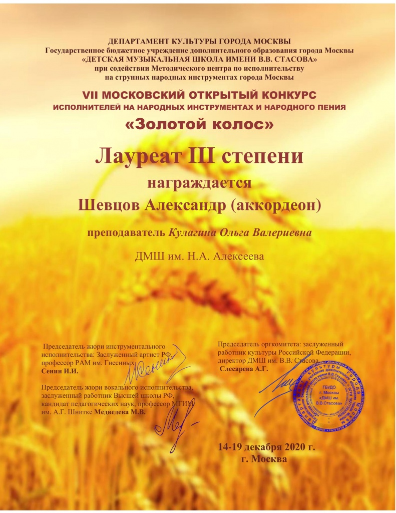 Лауреат III. Шевцов Александр (аккордеон)-1.jpg