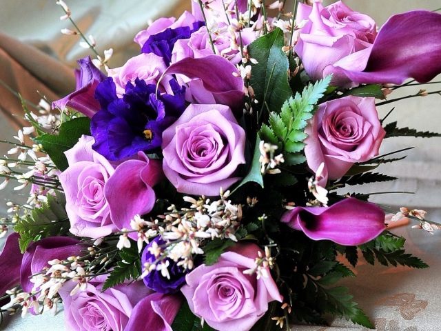 purple roses.jpg